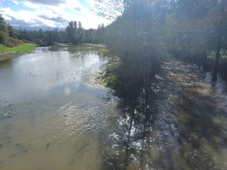 Razlitje Molje pri Zarečici